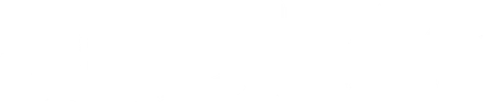 duobot